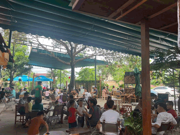 Sang quán cafe sân vườn siêu đẹp