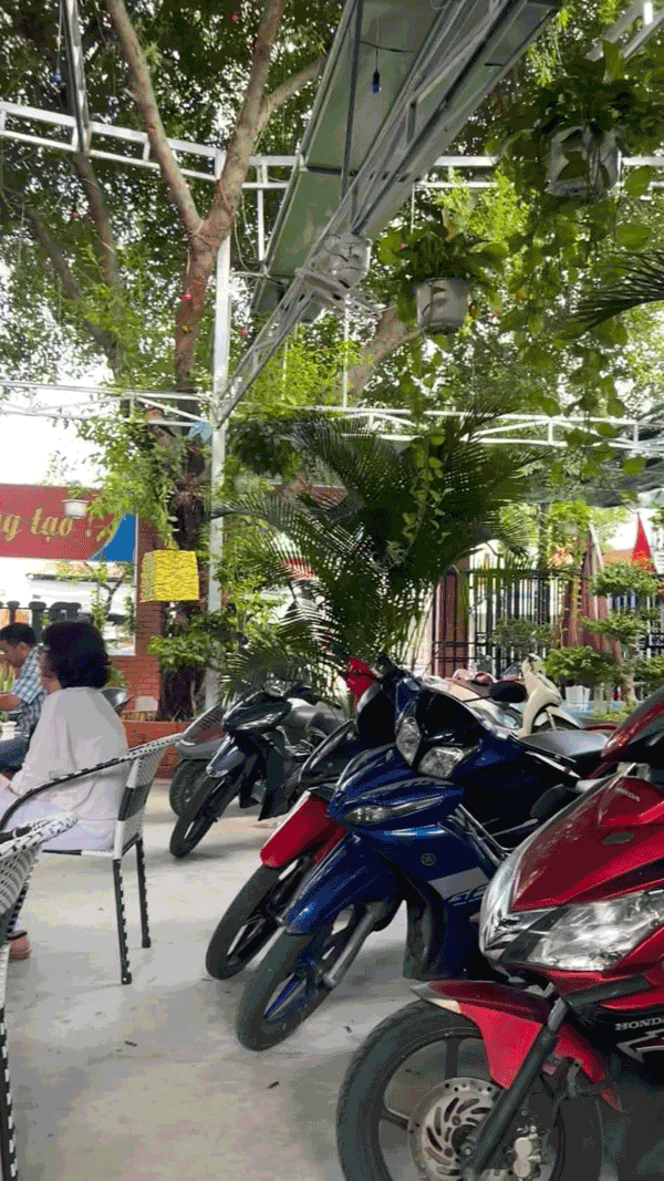 Sang quán cafe sân vườn tại Song Hành, Hóc Môn