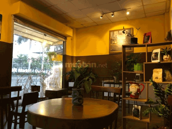 Sang quán (hoặc share mặt tiền) cafe sân vườn mini đẹp