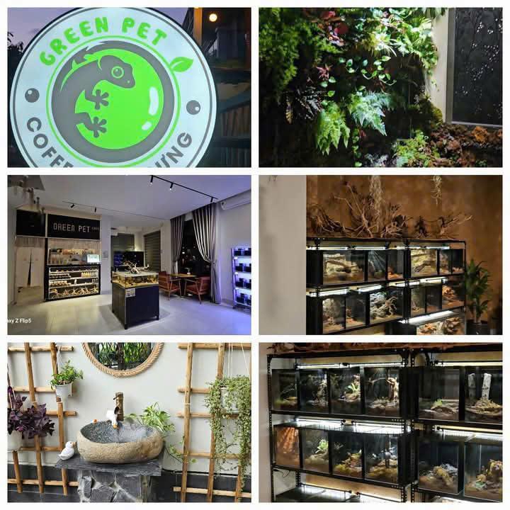 Bán GREEN PET CAFE do chính tay mình gầy dựng