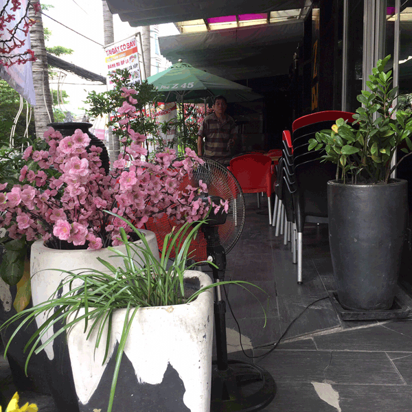 Sang gấp quán Cafe DJ Nhạc Trẻ đường D5, P. 25, Quận Bình Thạnh.