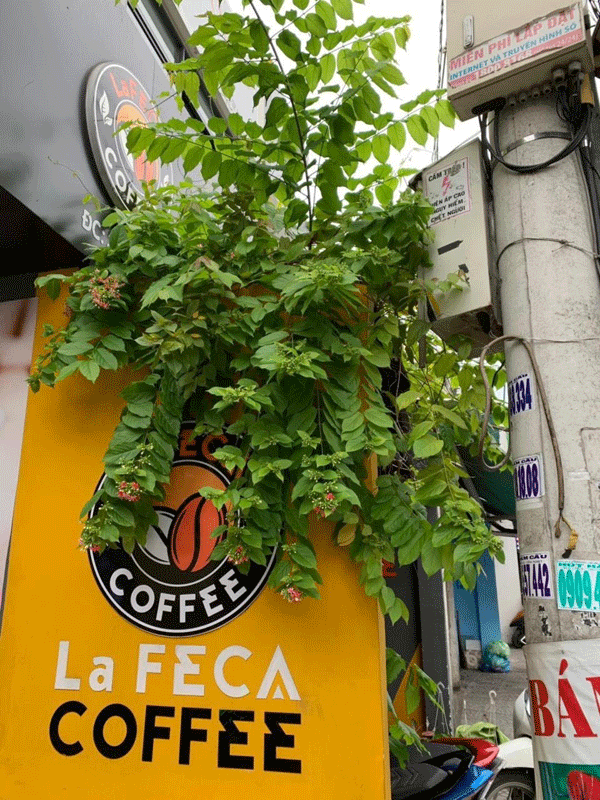 Sang quán cafe HƯƠNG HIỆU LAFECA COFFEE CN Bình Thạnh