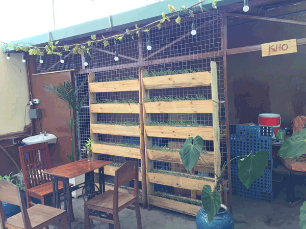 Sang quán cafe mô hình trồng rau xanh quận Bình Thạnh
