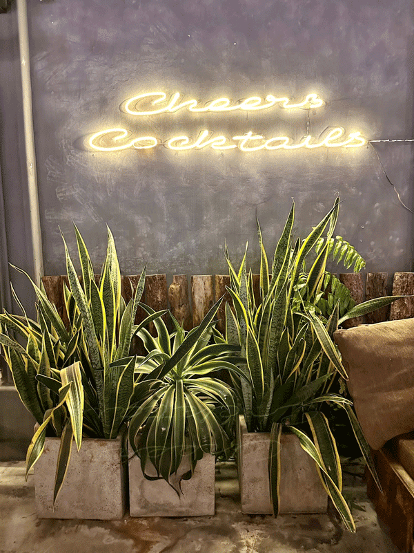 sang nhượng Quán Rooftop, Bar