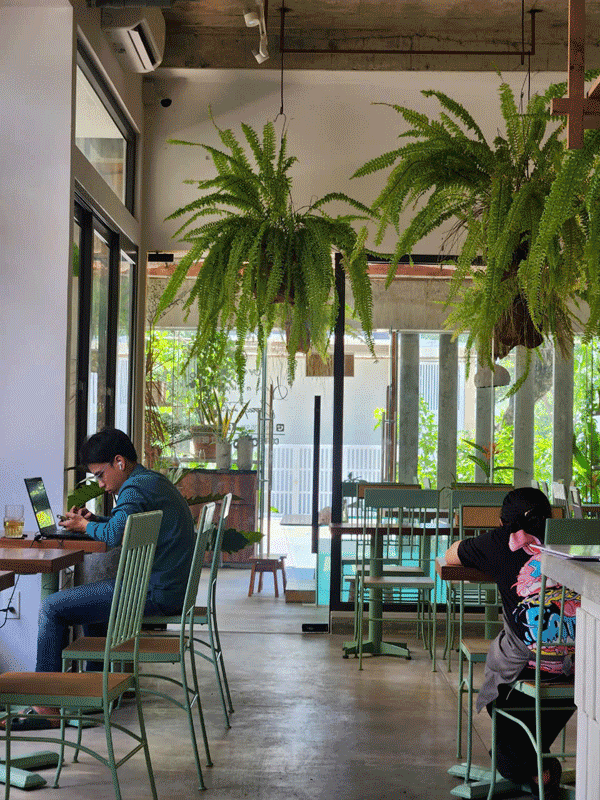 SANG NHƯỢNG QUÁN CAFE ĐANG HOẠT ĐỘNG ỔN ĐỊNH – FULL NỘI THẤT – VỊ TRÍ ĐẸP TẠI TP. THỦ ĐỨC