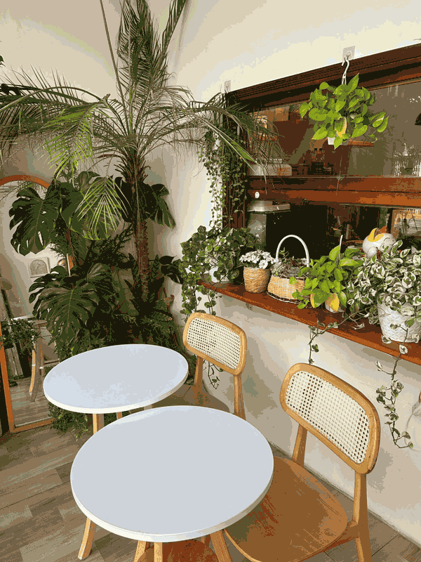 Sang quán cafe để đi du học Tại Tam Đảo, Quận 10