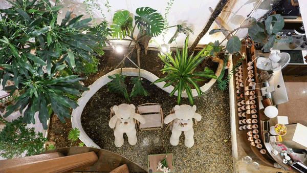 Sang Nhượng Quán Cafe Khu Vực Quận 10