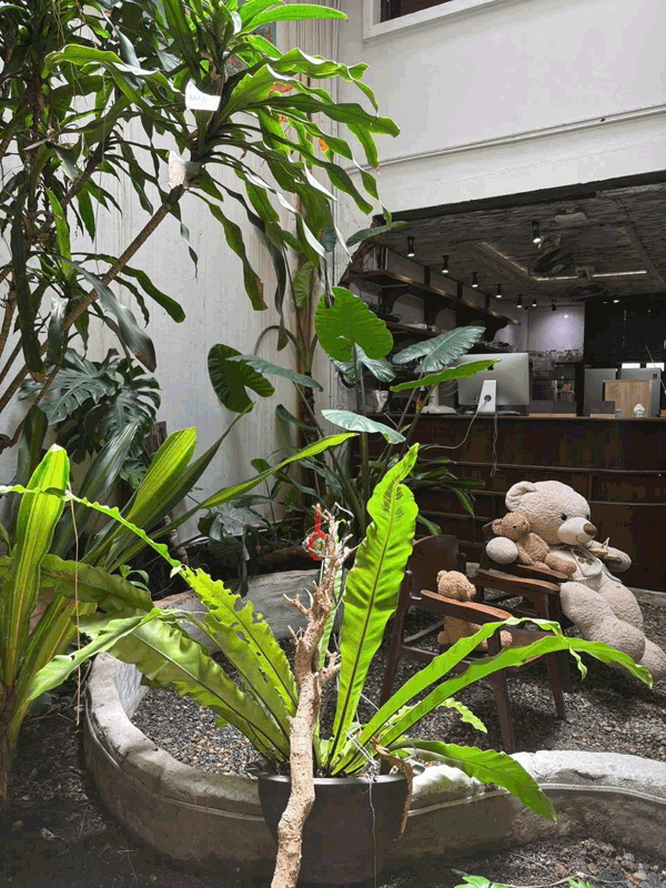 Sang Nhượng Quán Cafe Khu Vực Quận 10