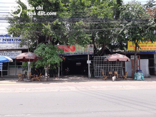 Sang gấp quán cafe đông khách, Bình Dương