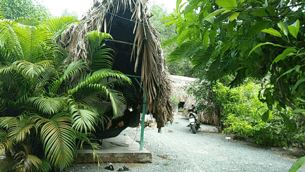 Sang quán cafe chòi võng đường Nguyễn Văn Tăng, Quận 9.