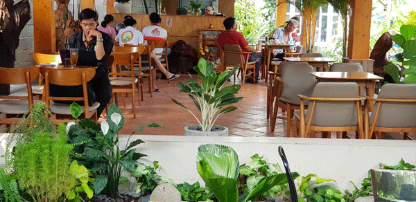 sang-quan-cafe-san-vuon-may-lanh-binh-duong-38435.gif