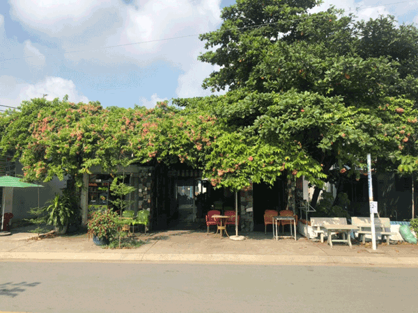 Sang quán cafe võng giá rẻ, 9 x 22m