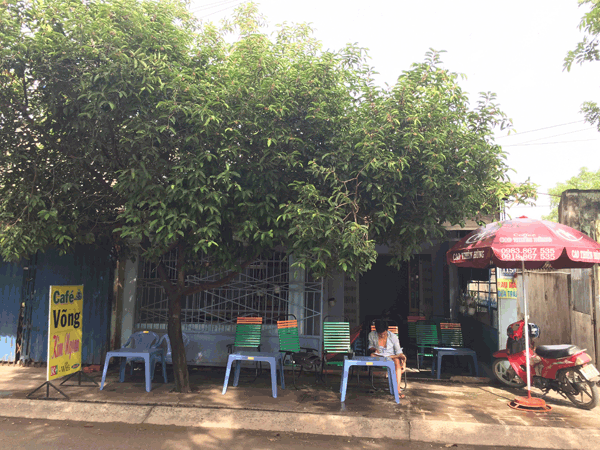 Sang quán cafe võng giá rẻ quận 12